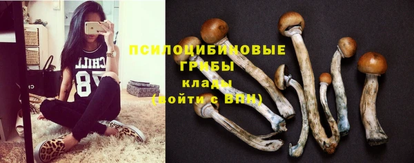 ALPHA PVP Кодинск