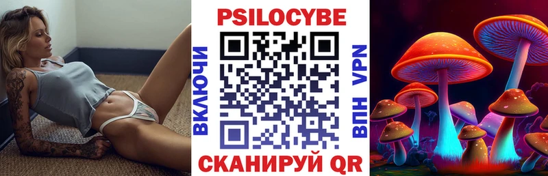 дарк нет как зайти Новая Усмань Галлюциногенные грибы мицелий