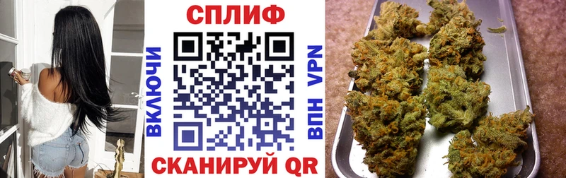 Бошки марихуана White Widow  Новая Усмань 